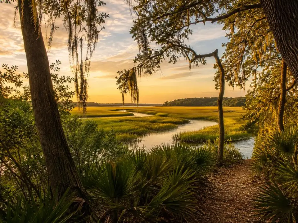 Salzwiesen am Rand des Wormsloe-Anwesens auf der Isle of Hope